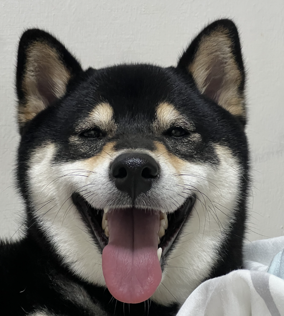 截圖 2024-05-29 下午4.16.47.png